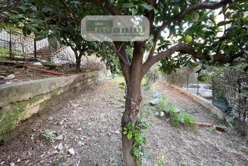 016giardinobasso3 rif515